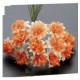 Pomo 12 flores bicolor naranja