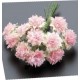 Pomo 12 flores bicolor rosa